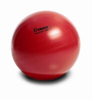 Фитбол TOGU ABS POWERBALL, 65 cм Фитбол TOGU ABS POWERBALL, 65 cм